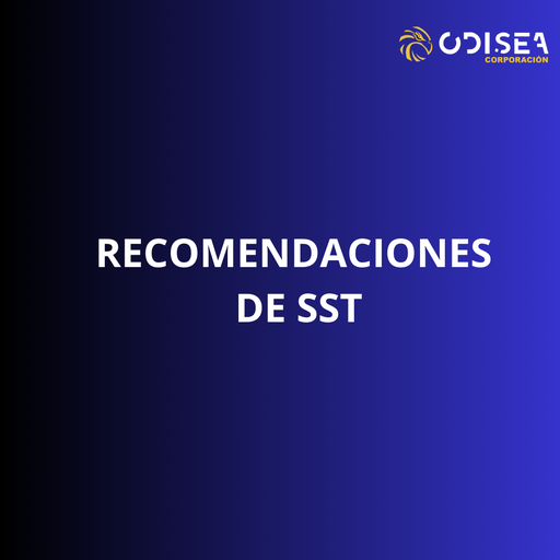 Recomendaciones SST